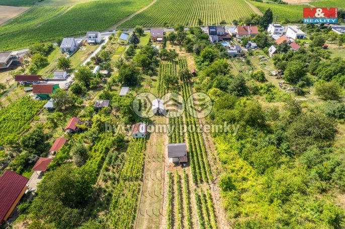Prodej, Pozemek k bydlení, Viničné Šumice