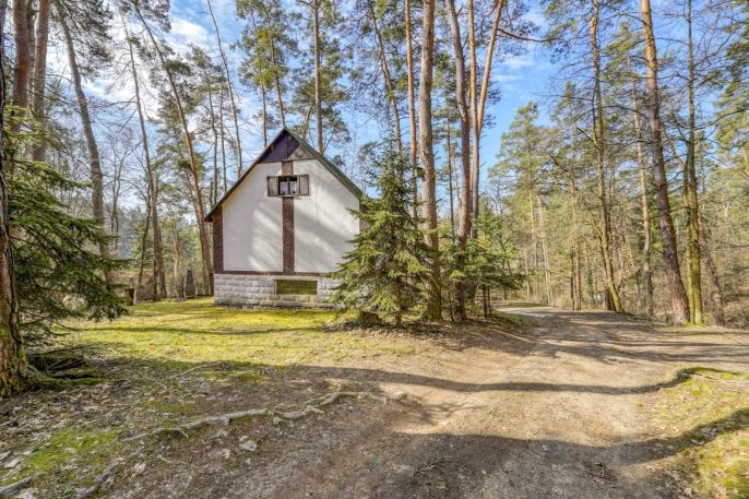 Prodej, Chata, Čerňovice