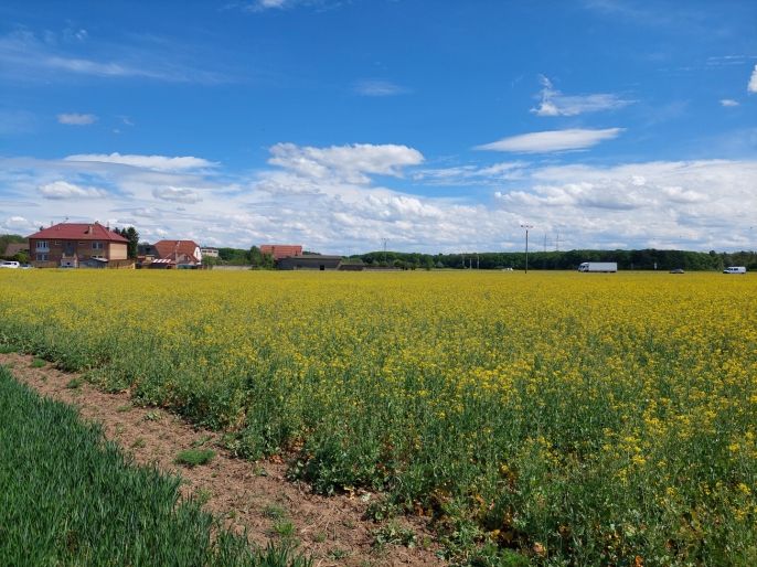 Prodej, Pozemek k bydlení, Pňov-Předhradí