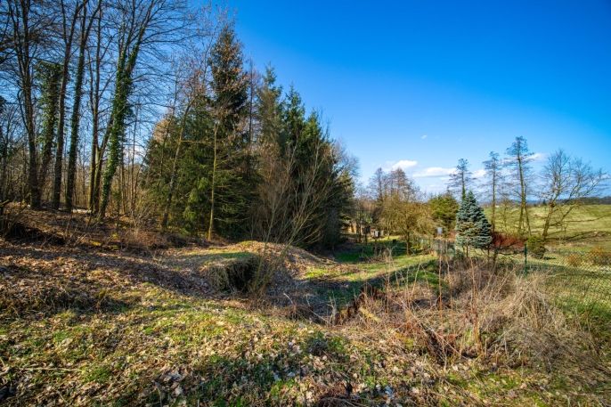 Prodej, Zahrada, Choceň