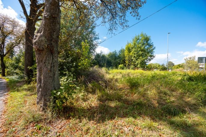 Prodej, Pozemek k bydlení, Červená Voda