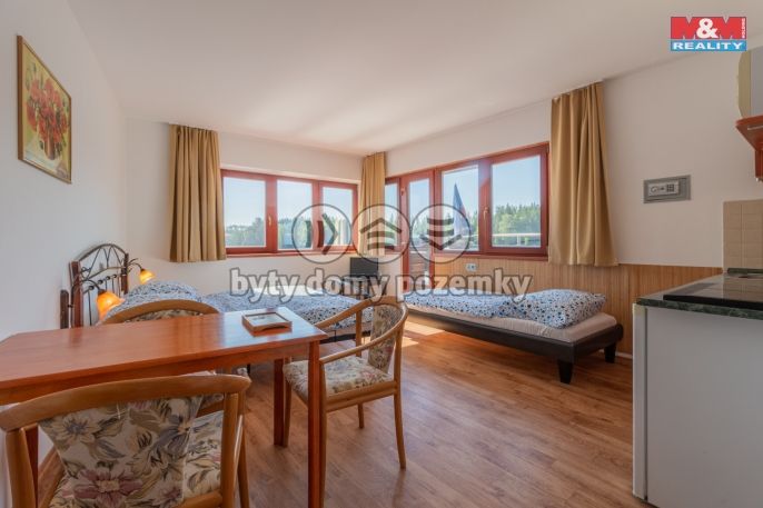 Prodej, Hotel, penzion, Blažejov