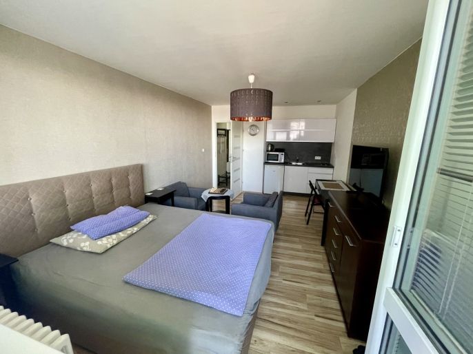 Pronájem, Byt 1+kk, Ostrava