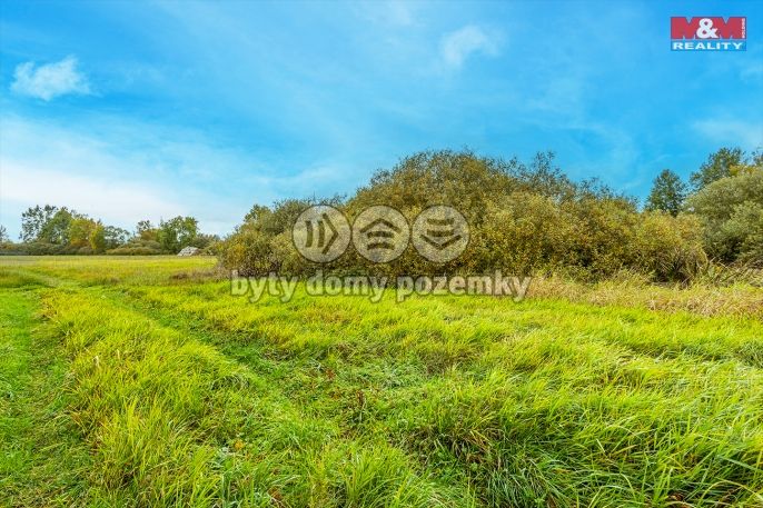 Prodej, Louka, Jestřebí