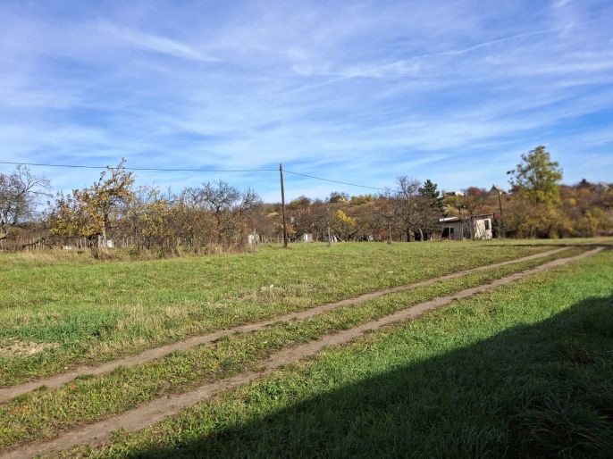 Prodej, Pozemek k bydlení, Hrušovany nad Jevišovkou