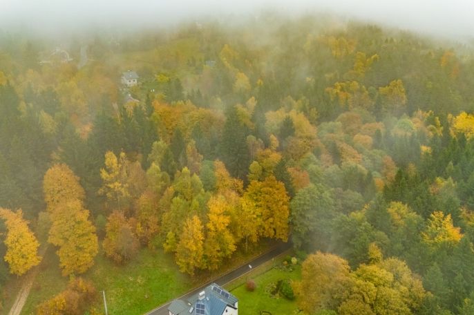 Prodej, Ostatní, Nová Ves nad Nisou