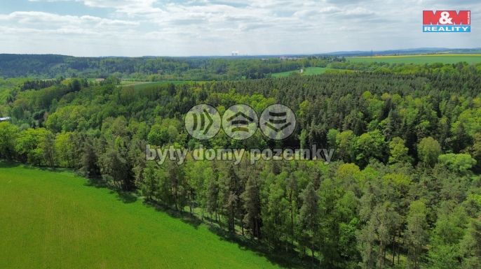 Prodej, Les, Černýšovice