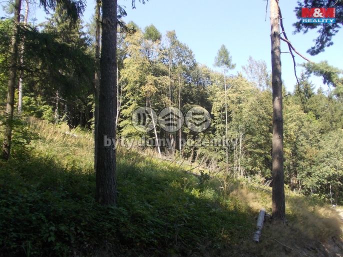 Prodej, Pozemek k bydlení, Pstruží