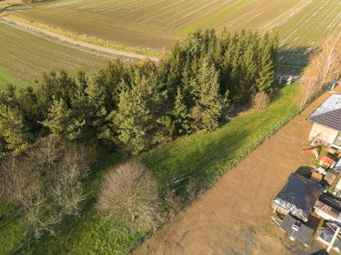 Prodej, Pozemek k bydlení, Senožaty