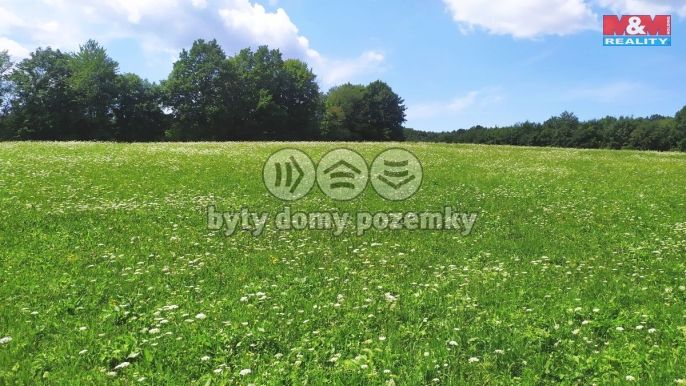 Prodej, Louka, Štramberk