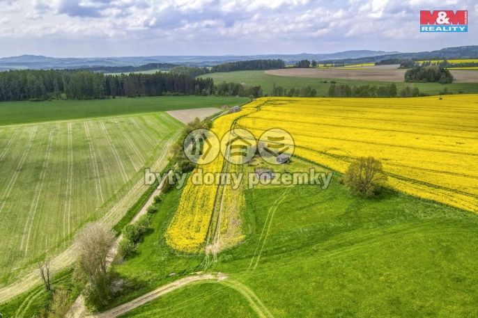 Prodej, Pole, Ostrov u Bezdružic