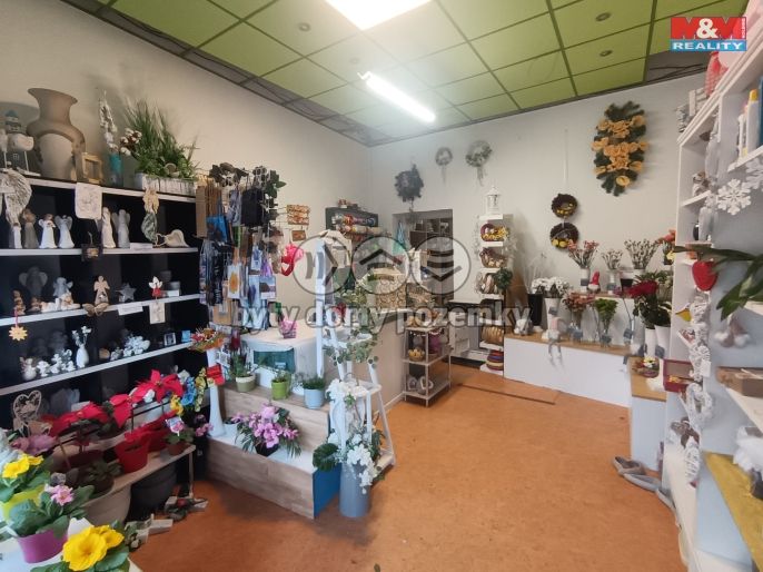 Pronájem, Obchod a služby, Ostrava