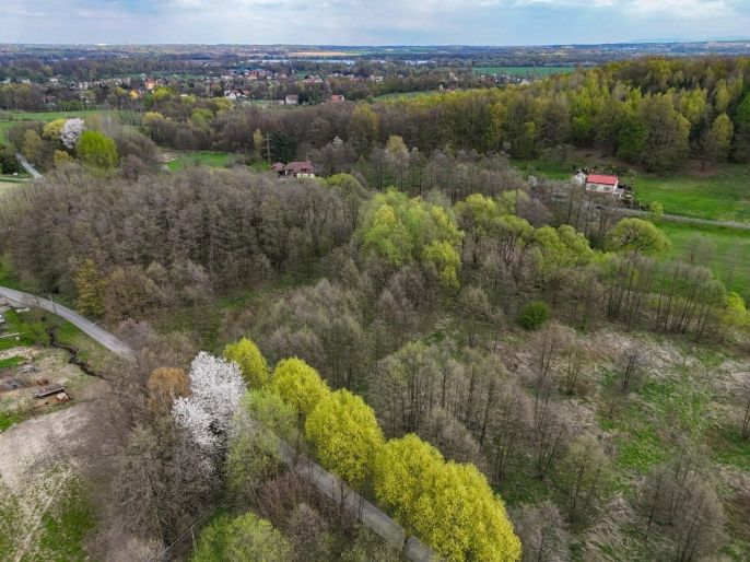 Prodej, Pole, Dětmarovice