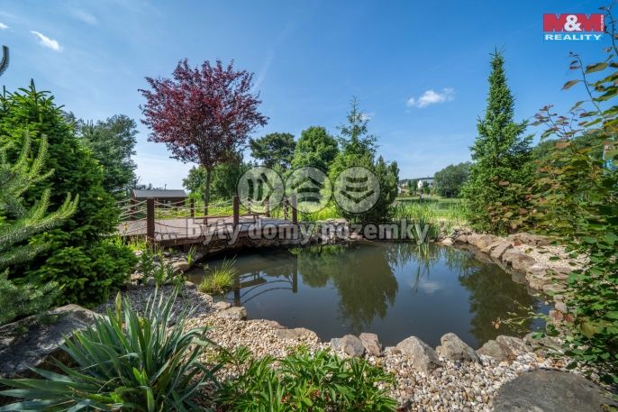 Pronájem, Ostatní, Letkov