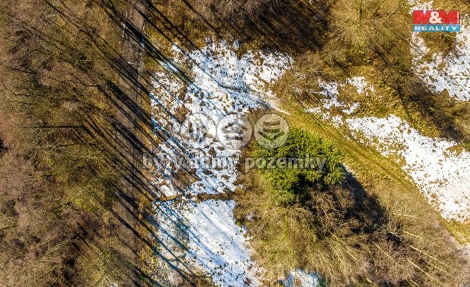 Prodej, Louka, Hodkovice nad Mohelkou