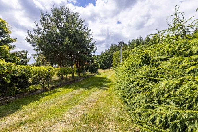 Prodej, Zahrada, Velké Poříčí