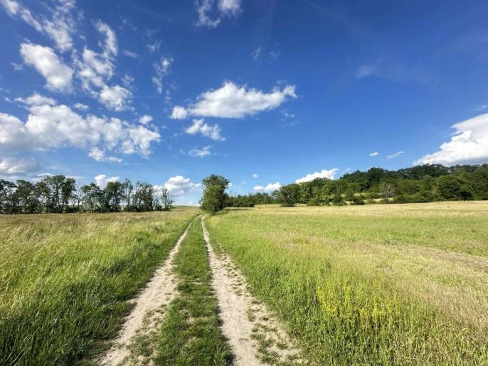 Prodej, Zahrada, Bechlín