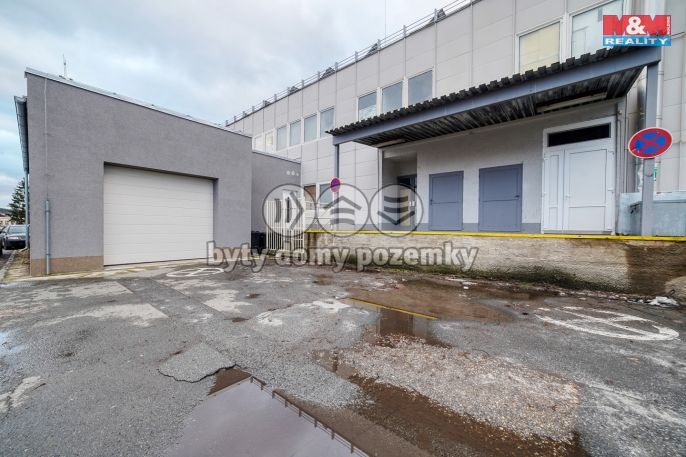 Pronájem, Obchodní objekt, Třemošná