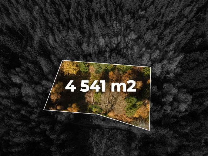 Prodej, Pastvina, 4541 m², Milíkov