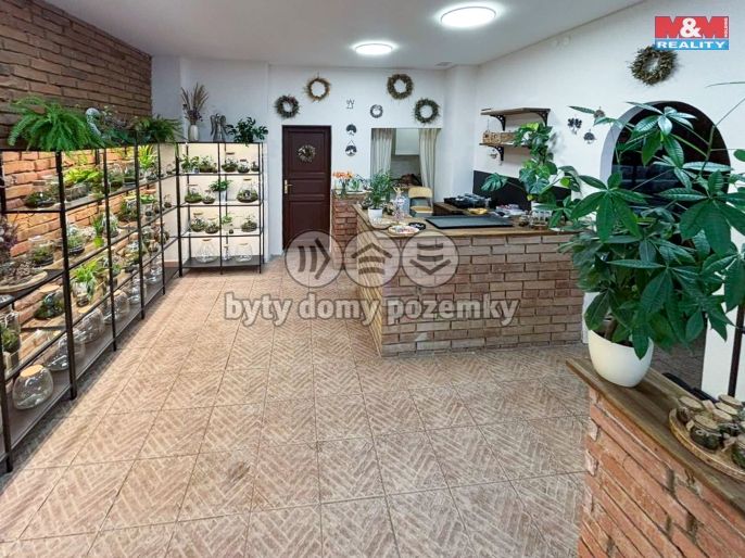 Prodej, Obchod a služby, Praha