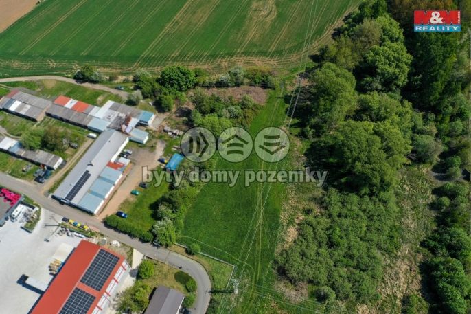 Pronájem, Pastvina, Dýšina