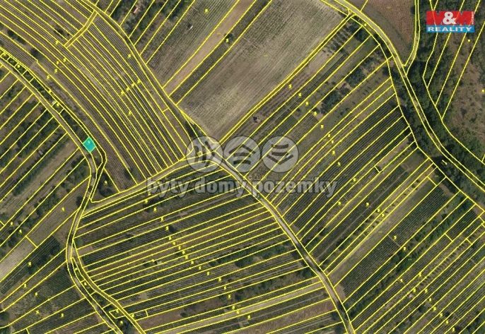 Prodej, Ovocný sad, Velké Pavlovice