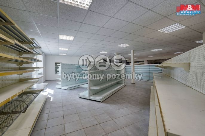 Pronájem, Obchod a služby, Třemošná