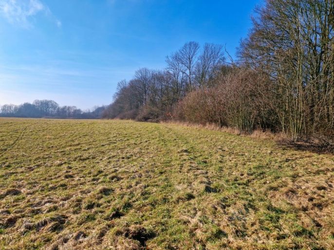 Prodej, Louka, Kozly