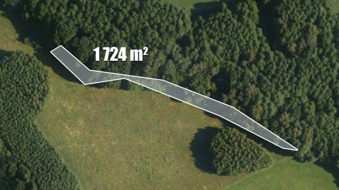 Prodej, Rodinný dům, Cvikov