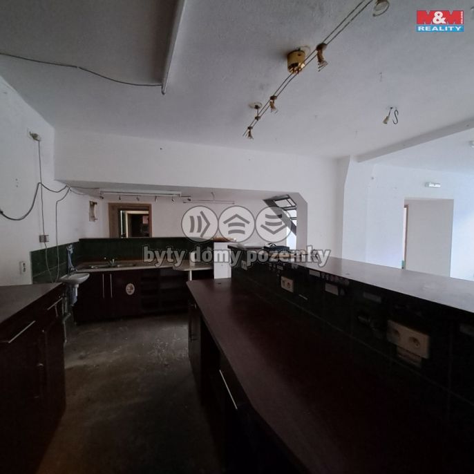 Pronájem, Obchod a služby, Břidličná