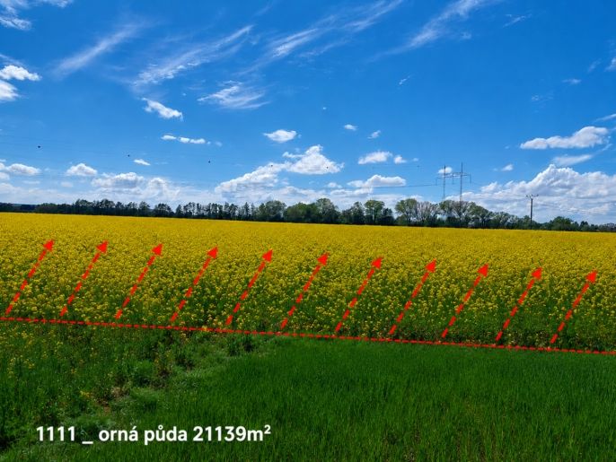 Prodej, Ostatní, Pňov-Předhradí
