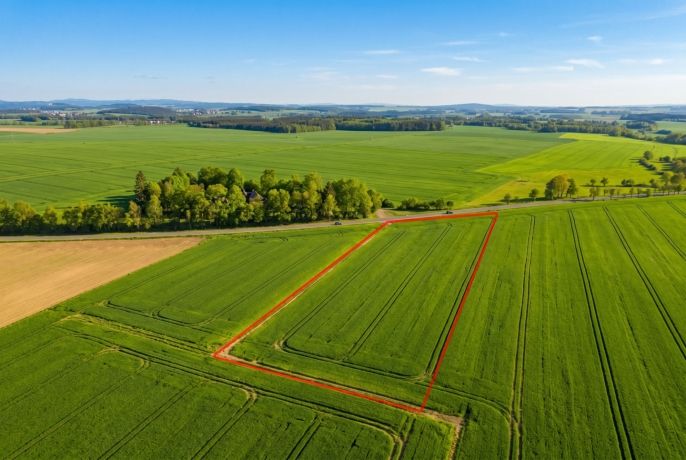 Prodej, Pole, Vodňany