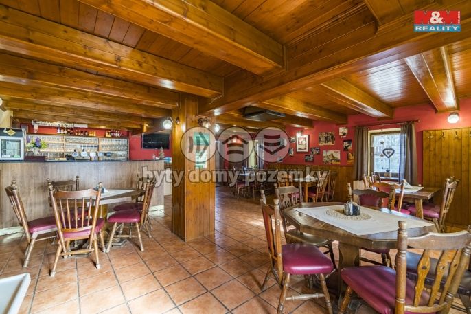 Prodej, Hotel, penzion, Černá Voda