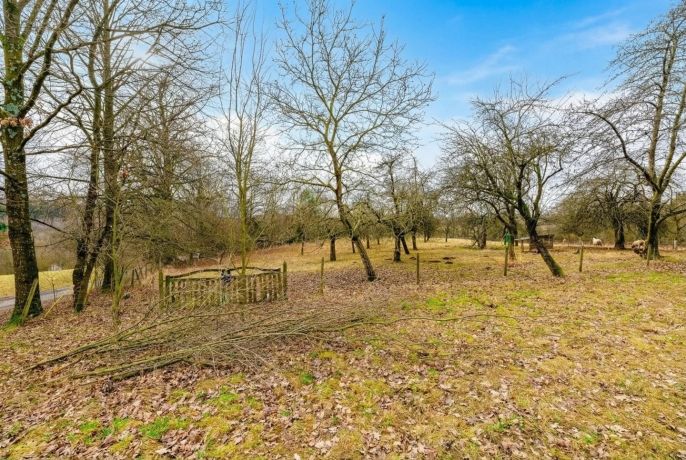 Prodej, Rodinný dům, Dobré