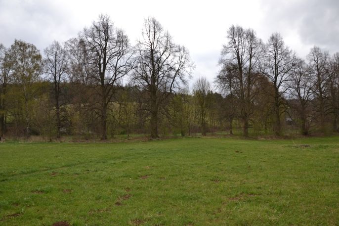 Prodej, Louka, Náchod