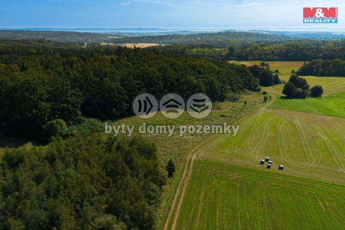 Prodej, Zemědělská usedlost, Hracholusky