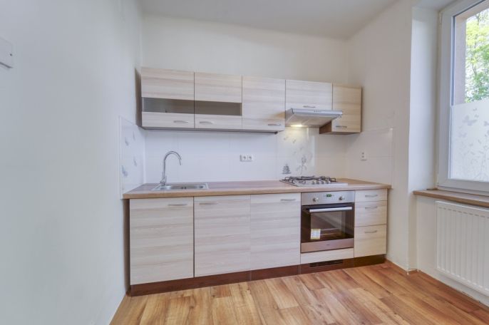 Pronájem, Byt 1+1, Plzeň