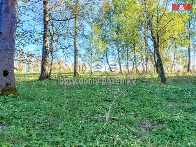 Prodej, Pozemek k bydlení, Stará Voda