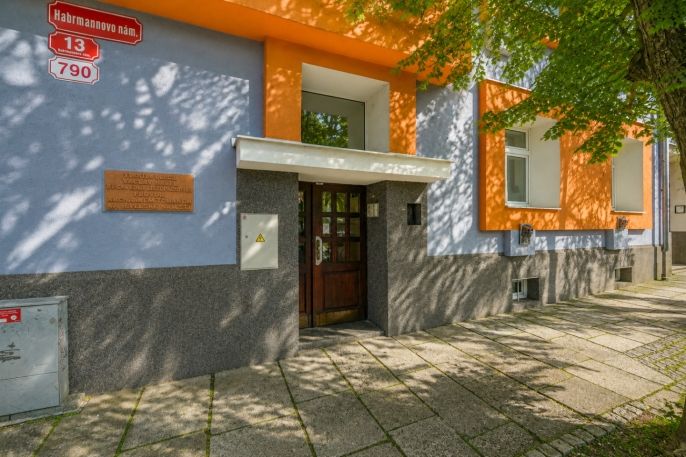 Prodej, Byt 1+kk, Plzeň