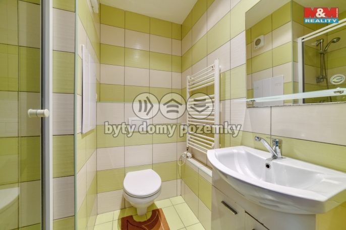 Pronájem, Byt 1+1, Cheb