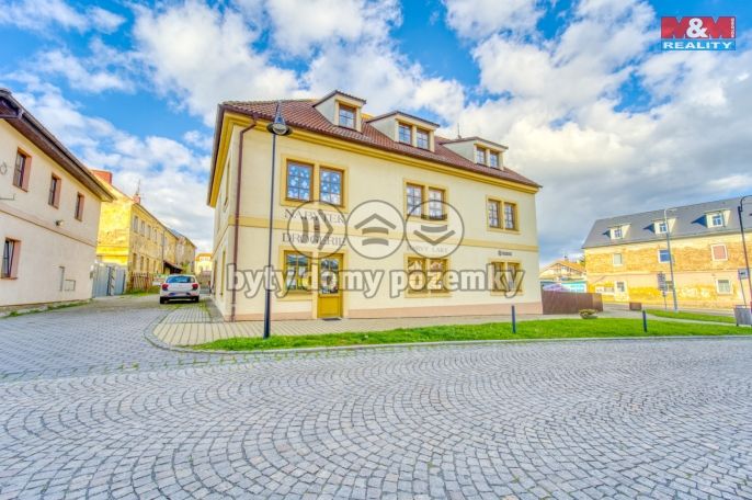 Pronájem, Obchod a služby, Bor