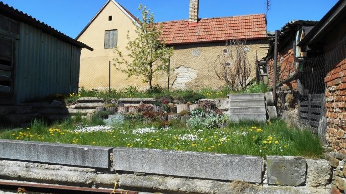 Prodej, Rodinný dům, Páleč