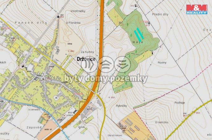 Prodej, Les, Držovice