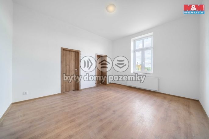 Prodej, Byt 4+kk, Plešnice