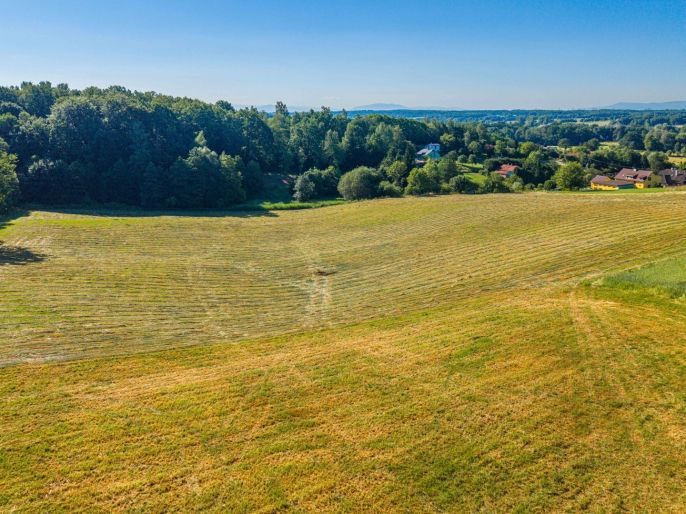 Prodej, Louka, Petrovice u Karviné