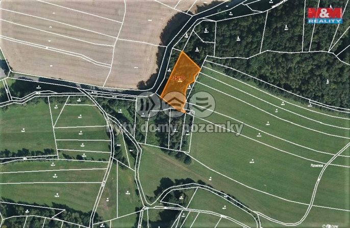 Prodej, Les, Vranová Lhota