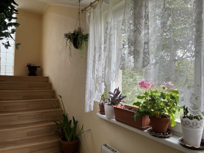 Pronájem, Rodinný dům, Návsí