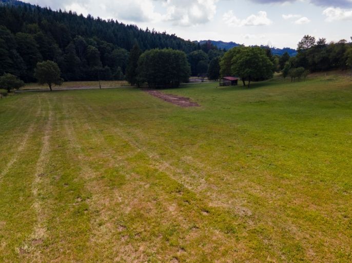 Prodej, Pozemek k bydlení, Držková