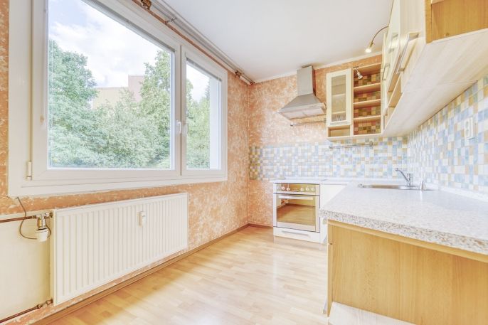 Pronájem, Byt 1+1, Plasy