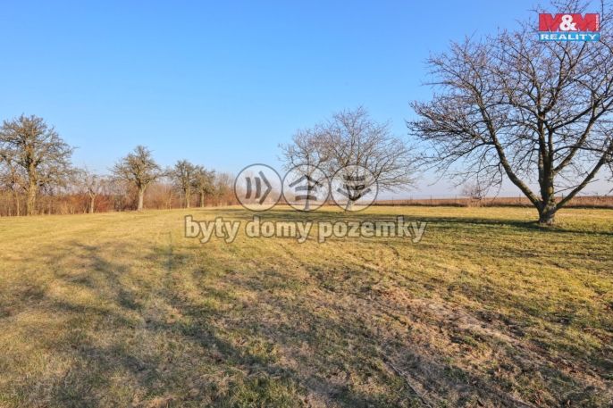 Prodej, Ovocný sad, Miskovice